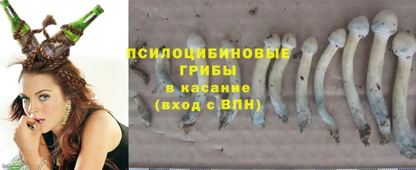 дурь Алзамай