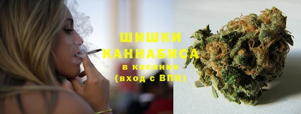 прущие грибы Алексин