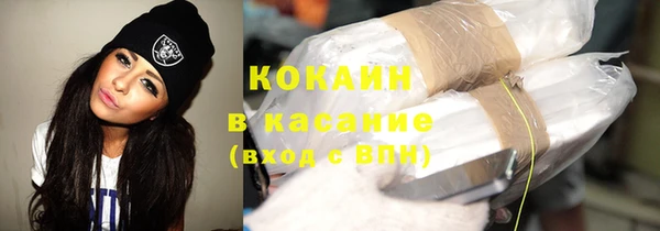 прущие грибы Алексин