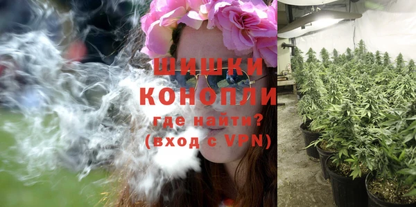 дурь Алзамай