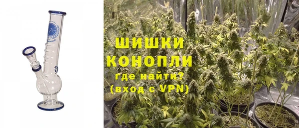 дурь Алзамай