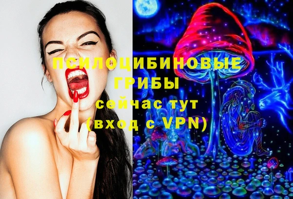 дурь Алзамай