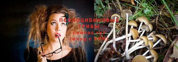 прущие грибы Алексин