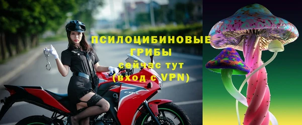 дурь Алзамай