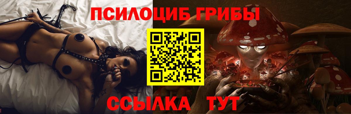 Сибай  Галлюциногенные грибы мицелий  Псилоцибиновые грибы ЛСД  где купить наркотик  Вход с VPN 